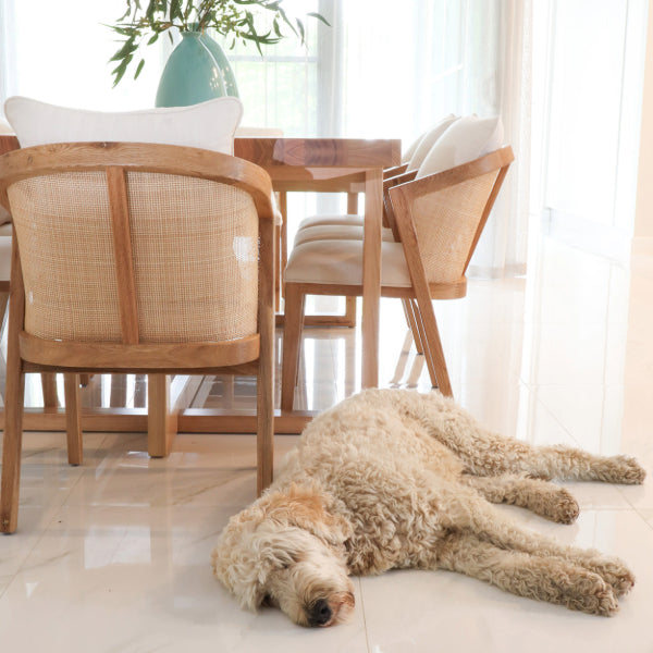 The True Cost of “Fast” Furniture