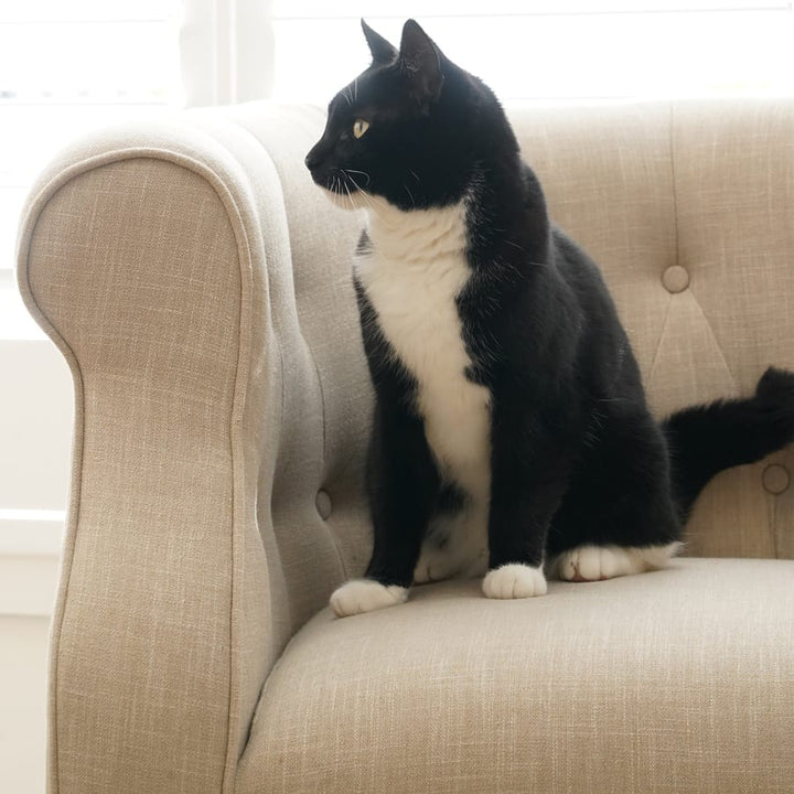 Esther Tub Chair Linen By Black Mango Interiors