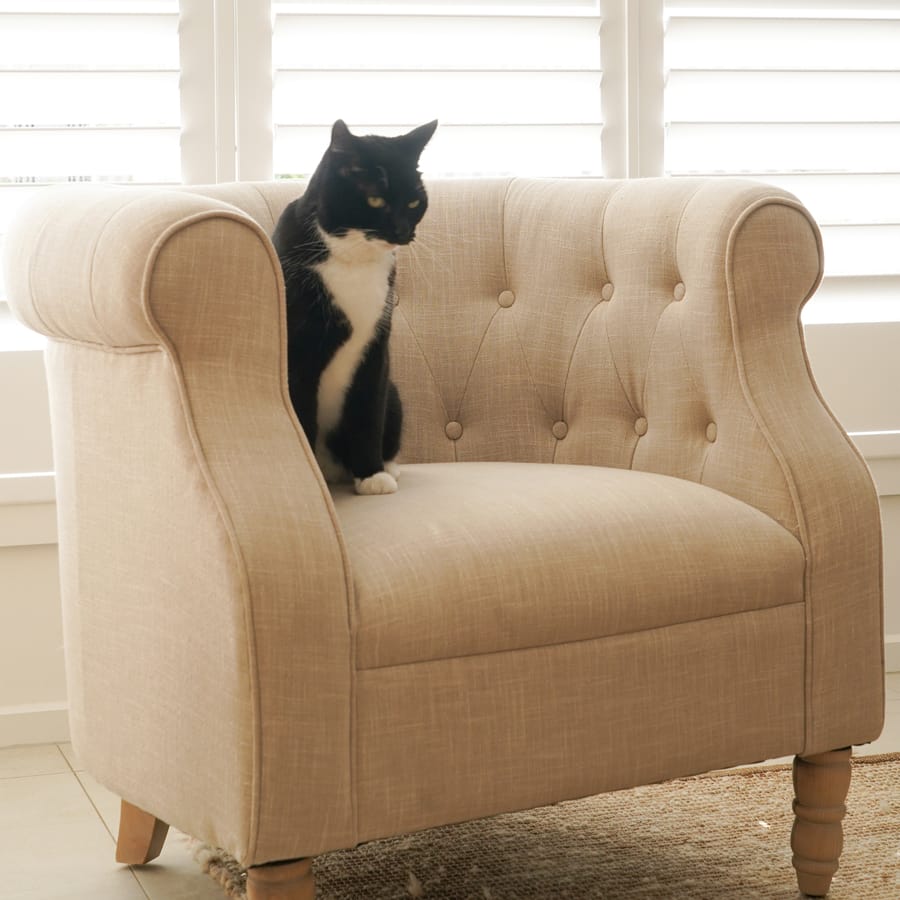 Esther Tub Chair Linen By Black Mango Interiors