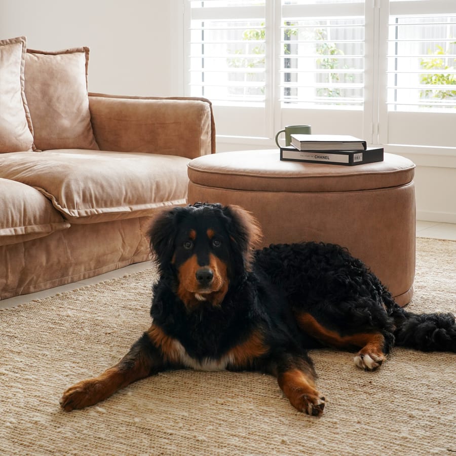Mae Storage Ottoman Large Fawn By Black Mango Interiors