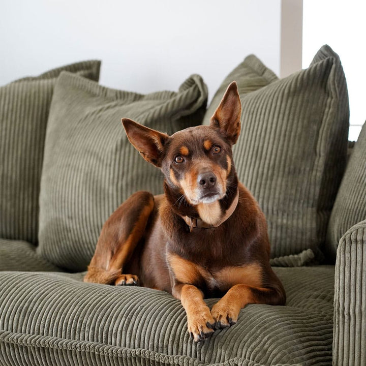The Cloud 3 Seater Sofa with Eucalyptus Corduroy Slipcover By Black Mango Interiors